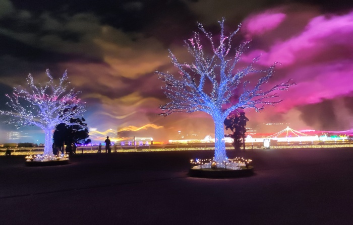 TOKYO_MEGA_ILLUMI_10