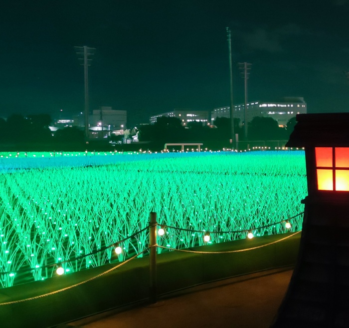 2022年東京大井競馬場「Tokyo Mega Illumi 」精彩燈光秀登場 TOKYO_MEGA_ILLUMI_17