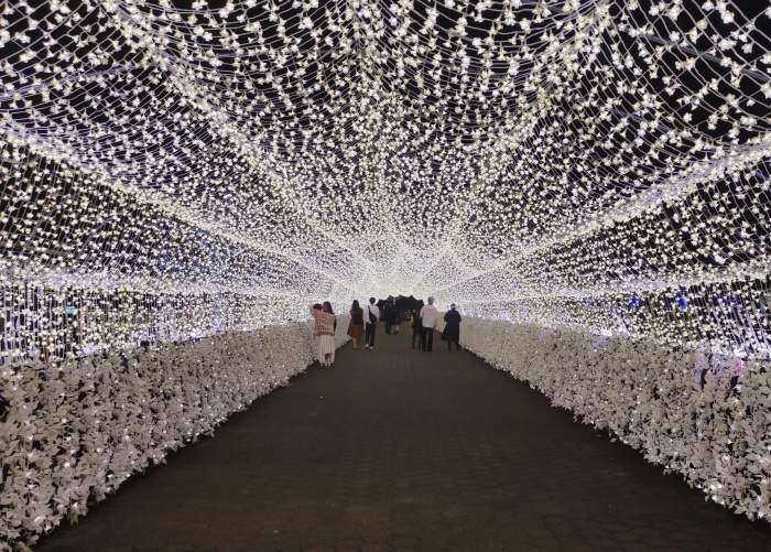 2022年東京大井競馬場「Tokyo Mega Illumi 」精彩燈光秀登場 TOKYO_MEGA_ILLUMI_33