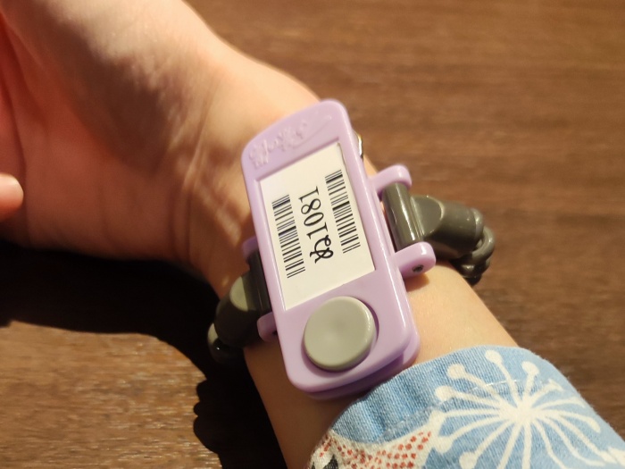 高CP值日本溫泉-關東超級錢湯4選2