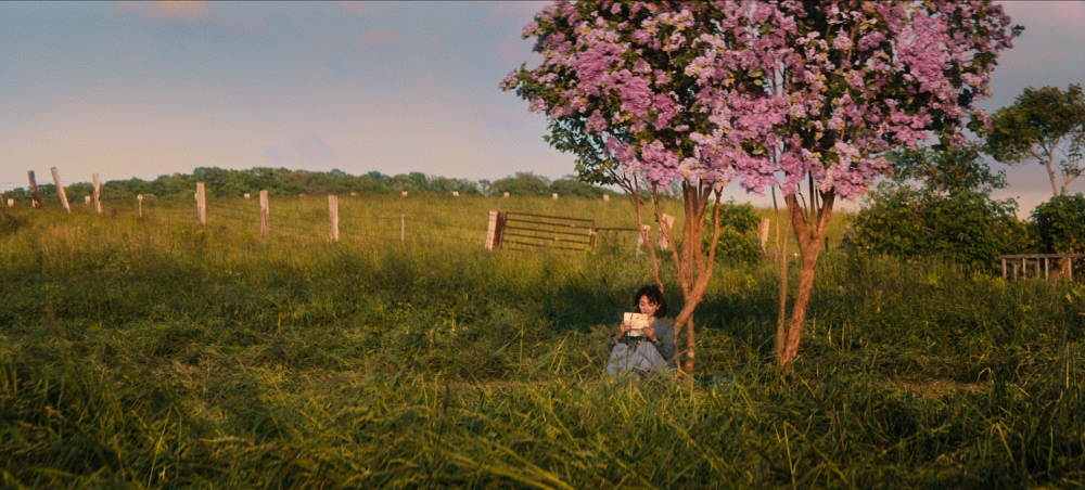 Netflix日劇《First Love 初戀》