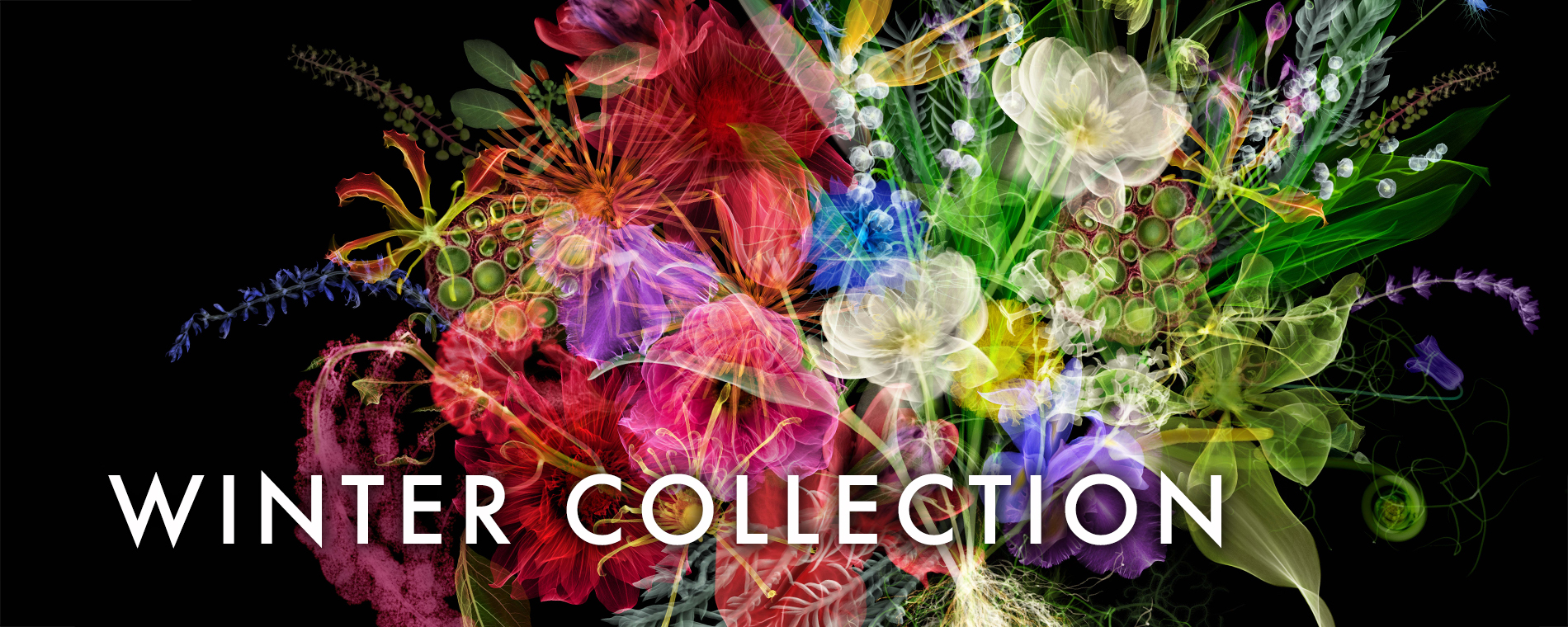 ポーラB.Aウィンターコレクション