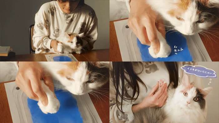 Petachi印泥使用方法