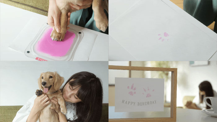 Petachi印泥使用方法