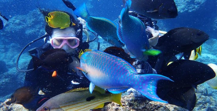 日本_沖繩_恩納村青之洞窟潛水及浮潛_klook_kkday