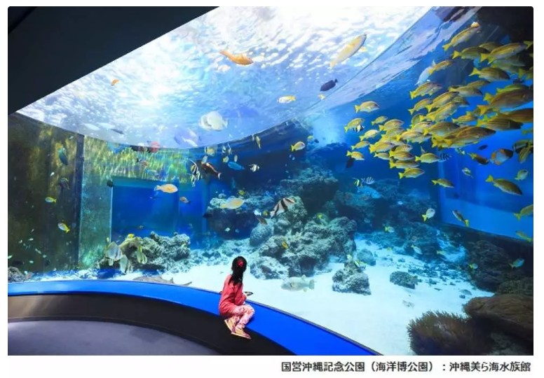 日本_沖繩_美麗海水族館_kkday_klook