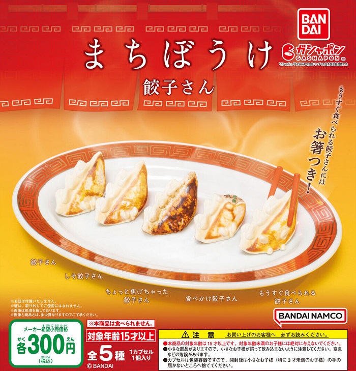 等待著你的餃子們