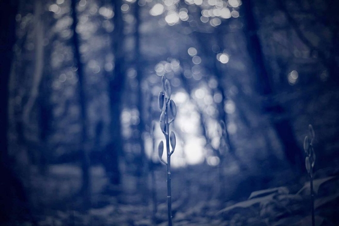 坂東龍汰攝影作品