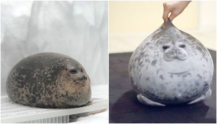 「小雪 Yuki」與「阿蕾拉 Arale」抱枕