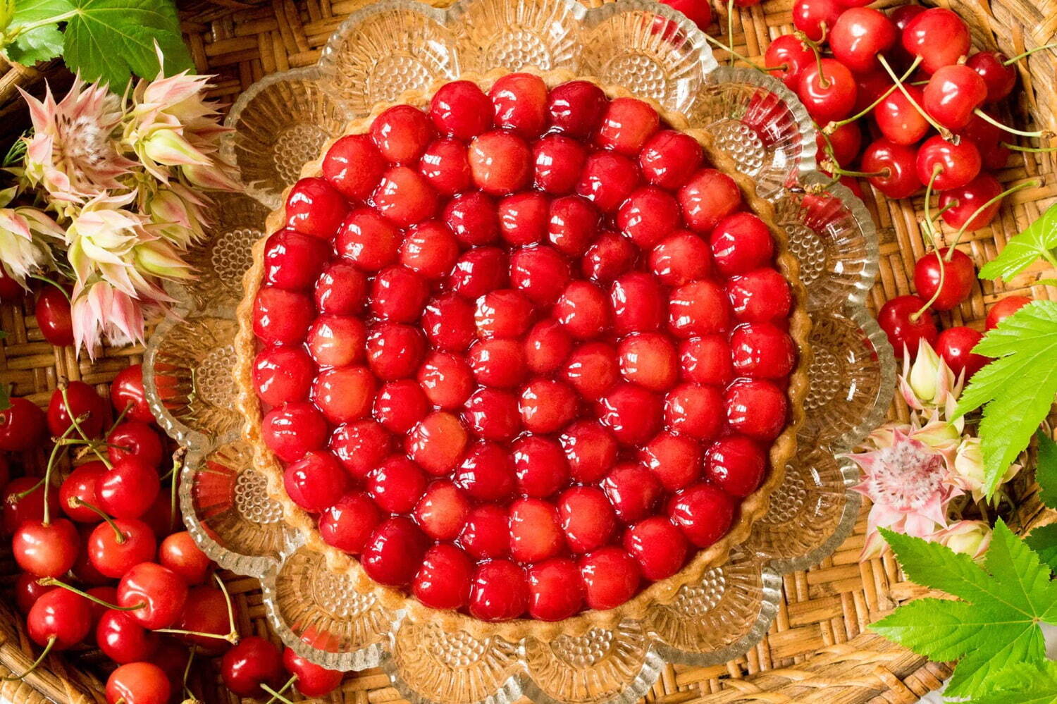 Quil fait bon_水果塔_特選佐錦藤櫻桃塔