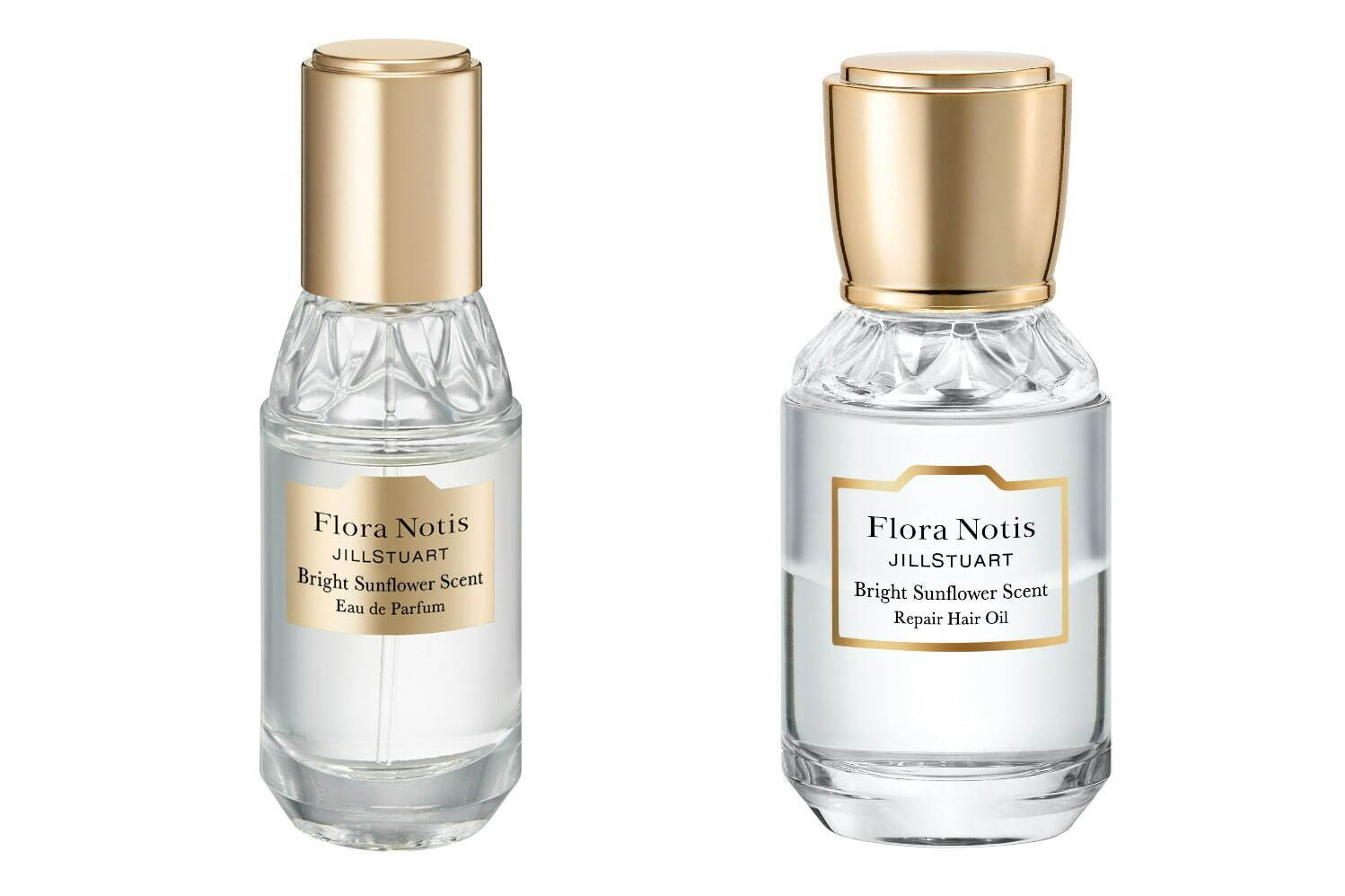 Flora Notis JILL STUART 2023 Bright Sunflowers