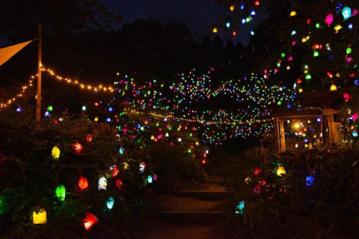 光之森~夜晚的藝術散步~