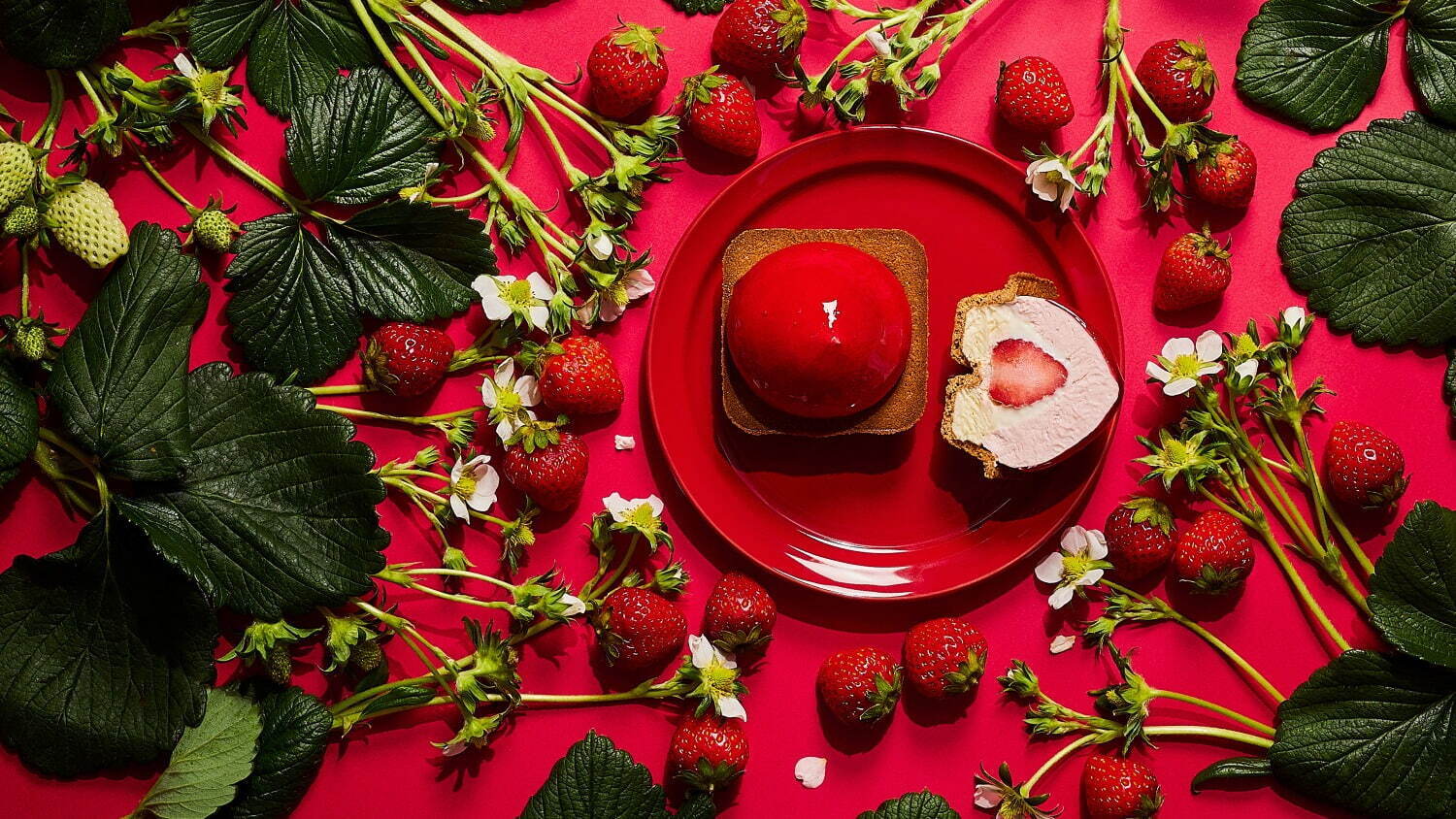 2024年3月_美麗甜點_VERVE COFFEE ROASTERS_CHEESE WONDER RUBY