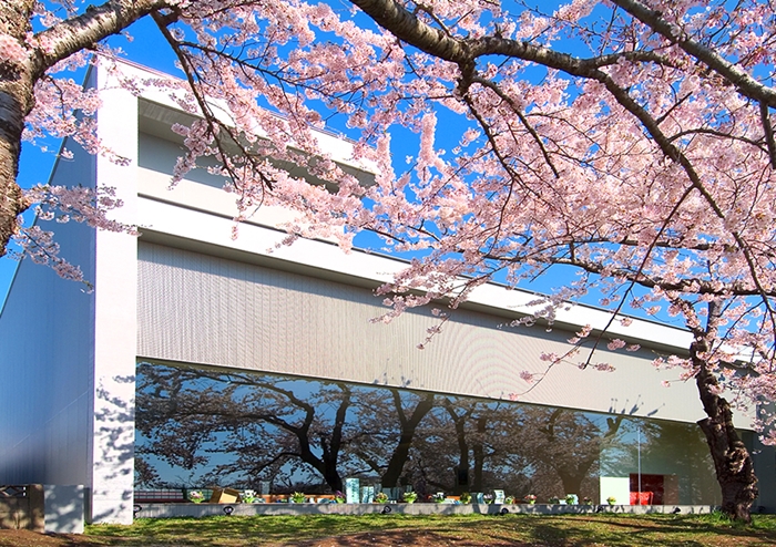 六花亭函館五稜郭店