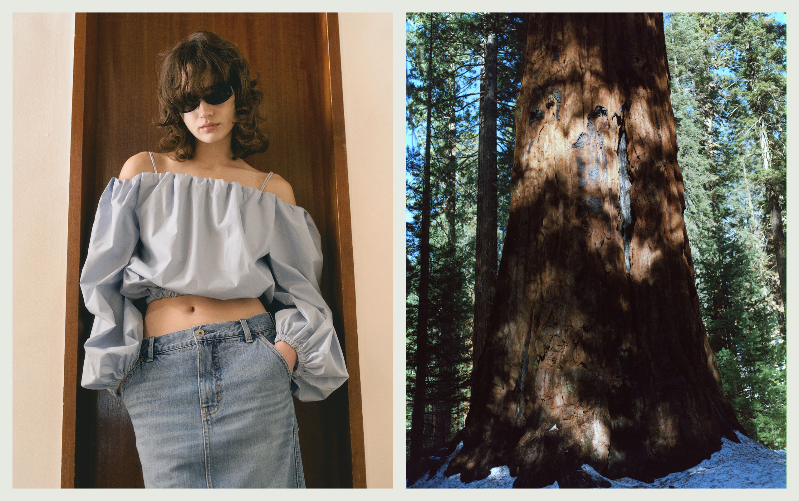 Moussy coordinate