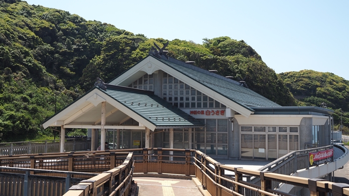 白兔海岸＆白兔神社