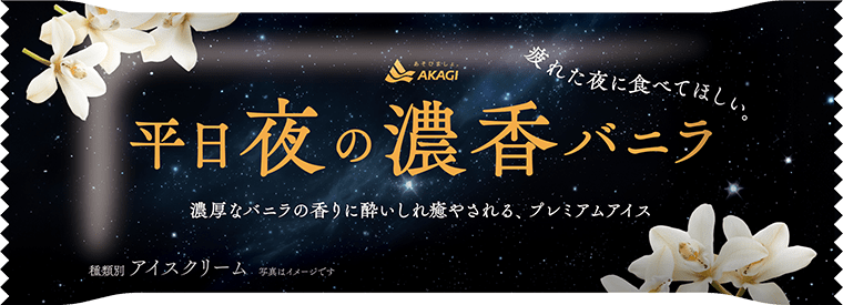 Akagi Weekday Night Rich Vanilla Ice Cream