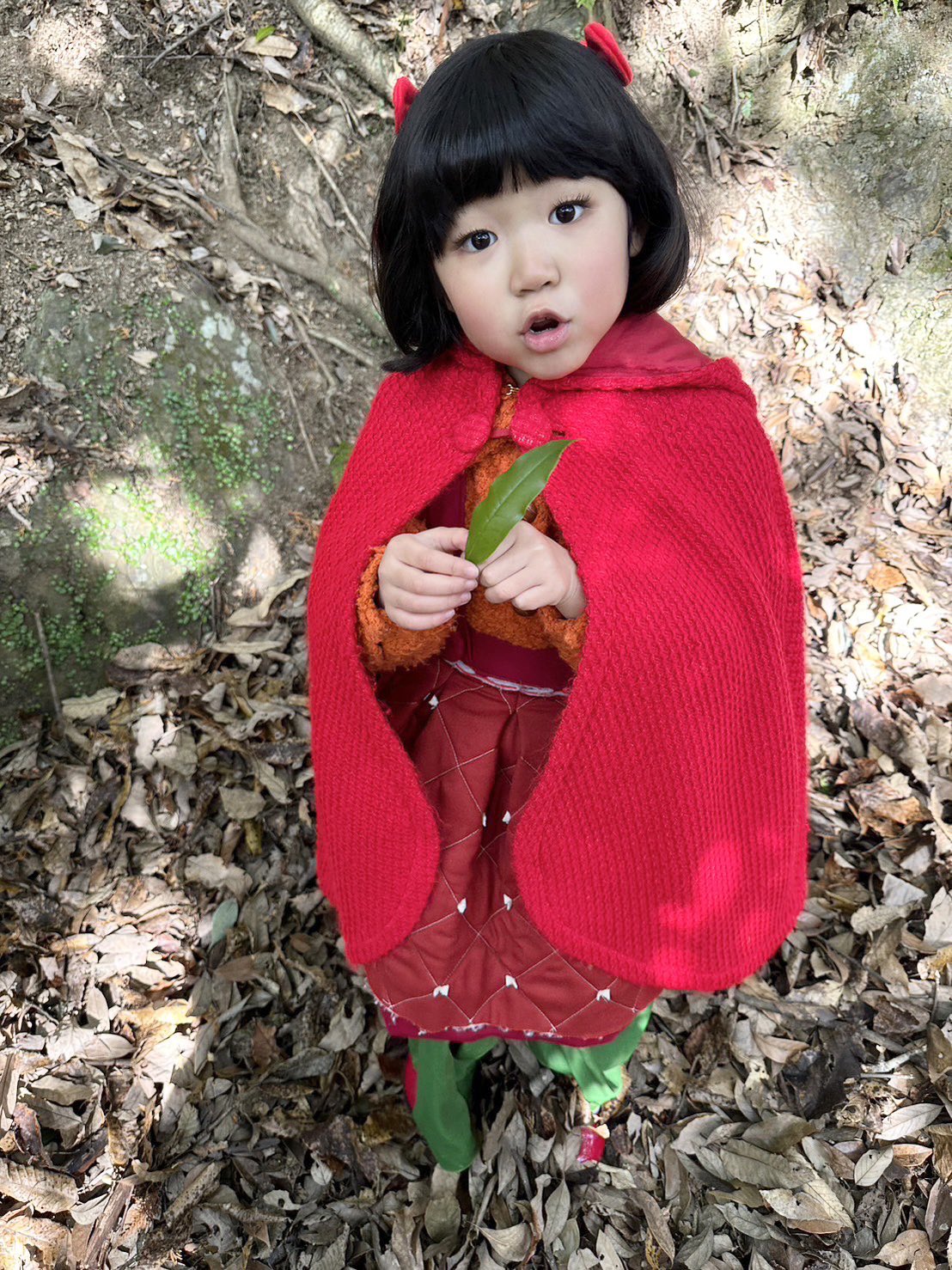 《怪醫黑傑克2024》