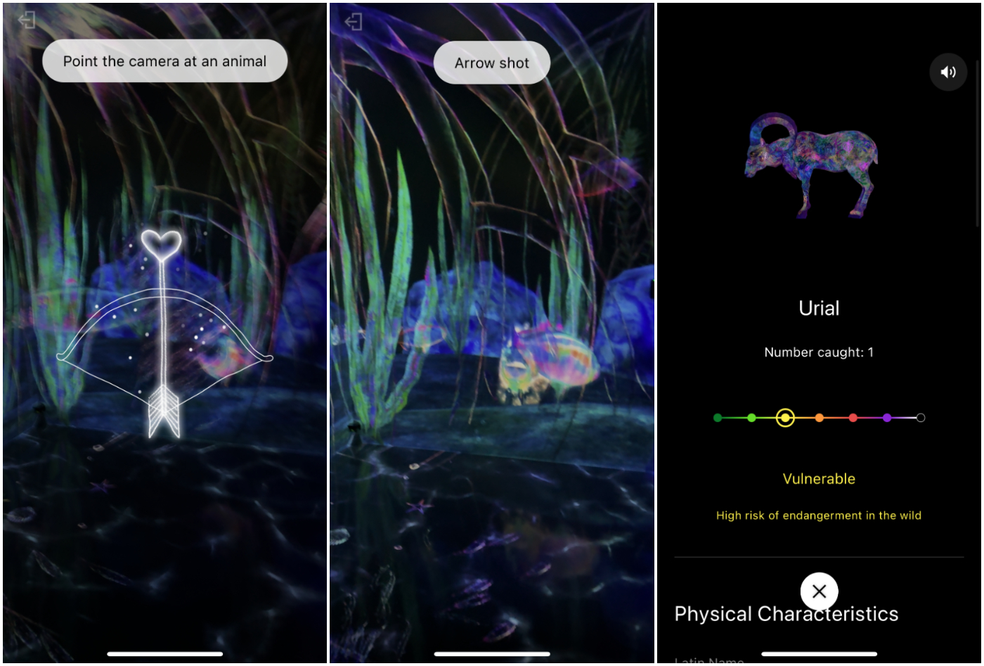 teamLab_Forest_Fukuoka_捕捉之森