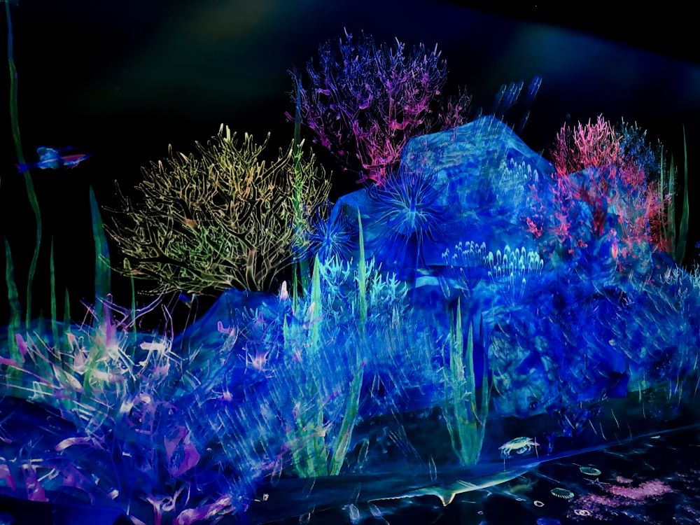 teamLab_Forest_Fukuoka_捕捉之森_水中生物