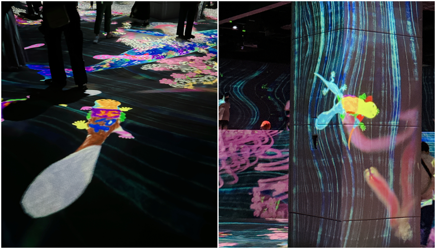 teamLab Forest Fukuoka_運動森林_鼓動山谷中的塗鴉自然 ── 共生的生命，年復一年， 紅色名錄 / Graffiti Nature in a Beating Valley - Symbiotic Lives, A Whole Year per Year, Red List