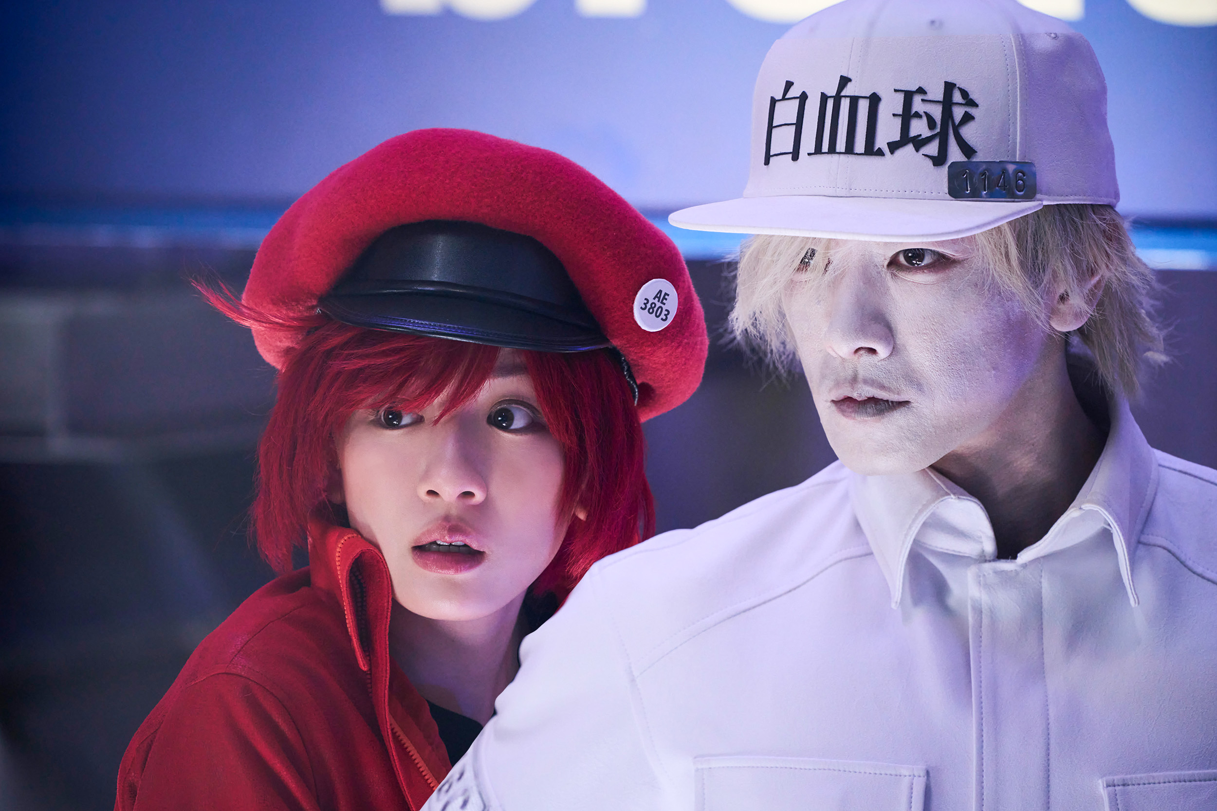 《工作細胞》1月24日上映 