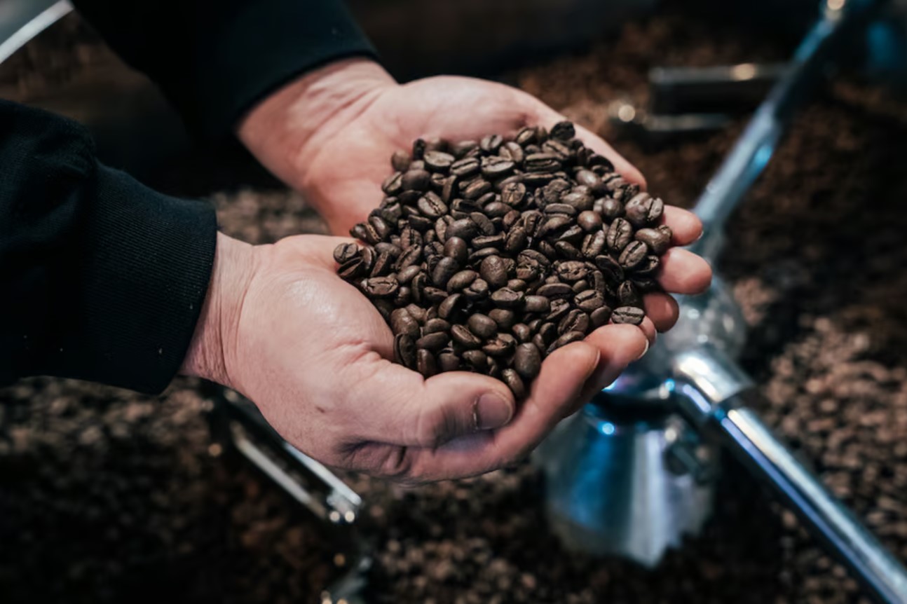 Tohoku Drippers Coffee
