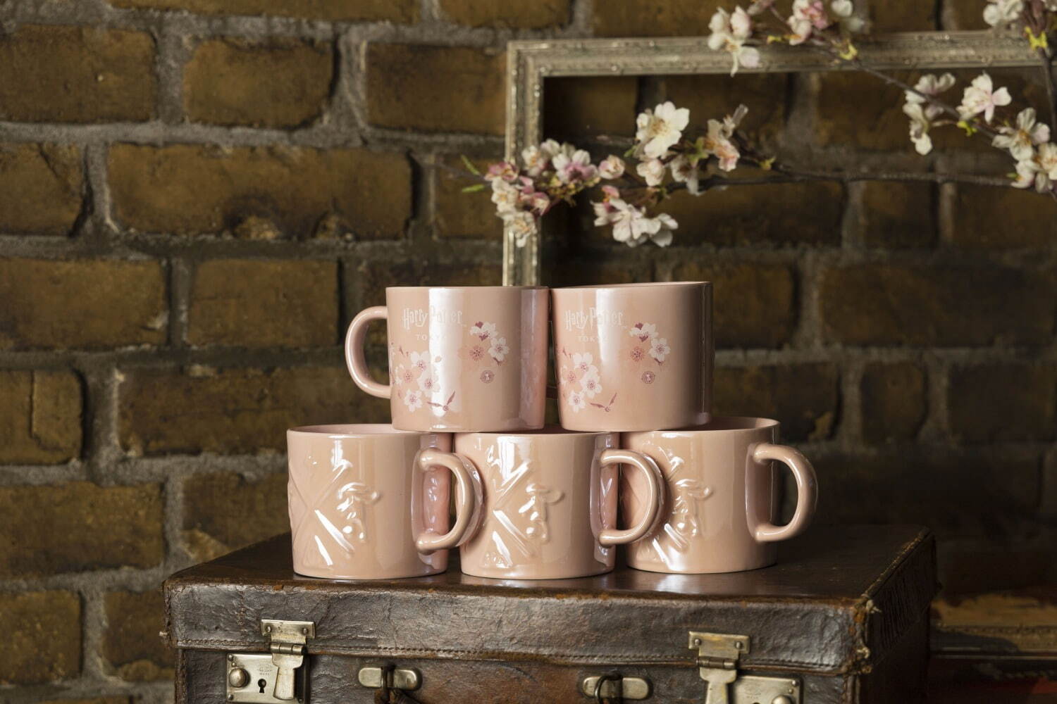 ワーナー ブラザース スタジオツアー東京 - メイキング・オブ・ハリー・ポッター_哈利波特_櫻花季東京限定商品_馬克杯