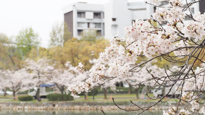 廣島城公園