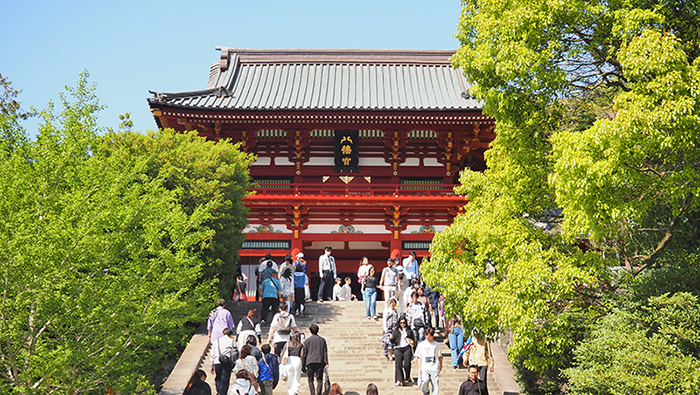 鐮倉八幡宮