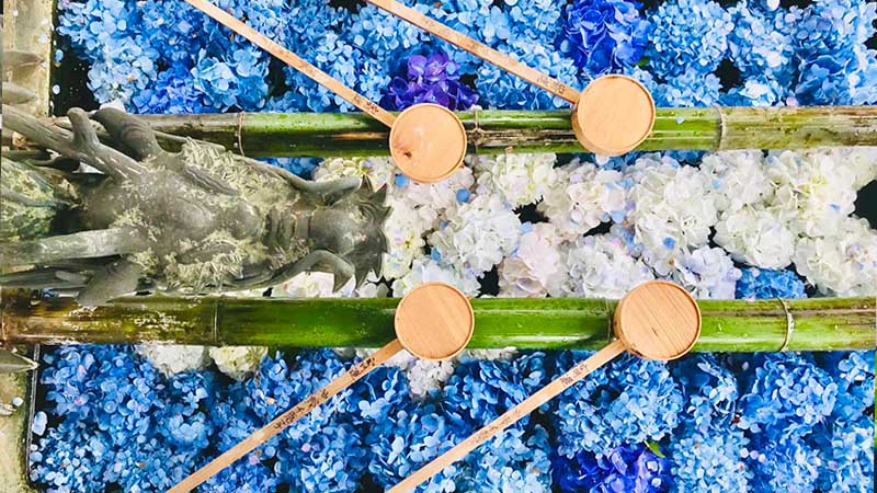 柳谷觀音楊谷寺