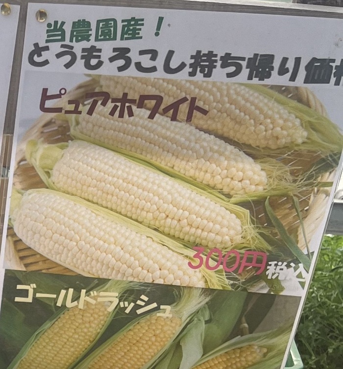 玉米