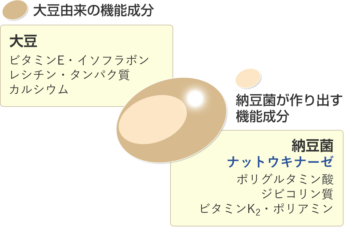 낫토 이미지