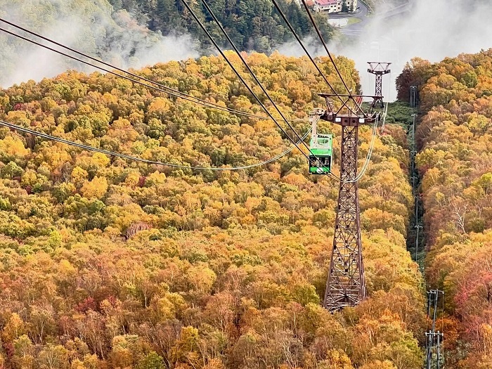 北海道紅葉景點－層雲峽
