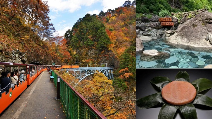 Kurobe Gorge Railway train