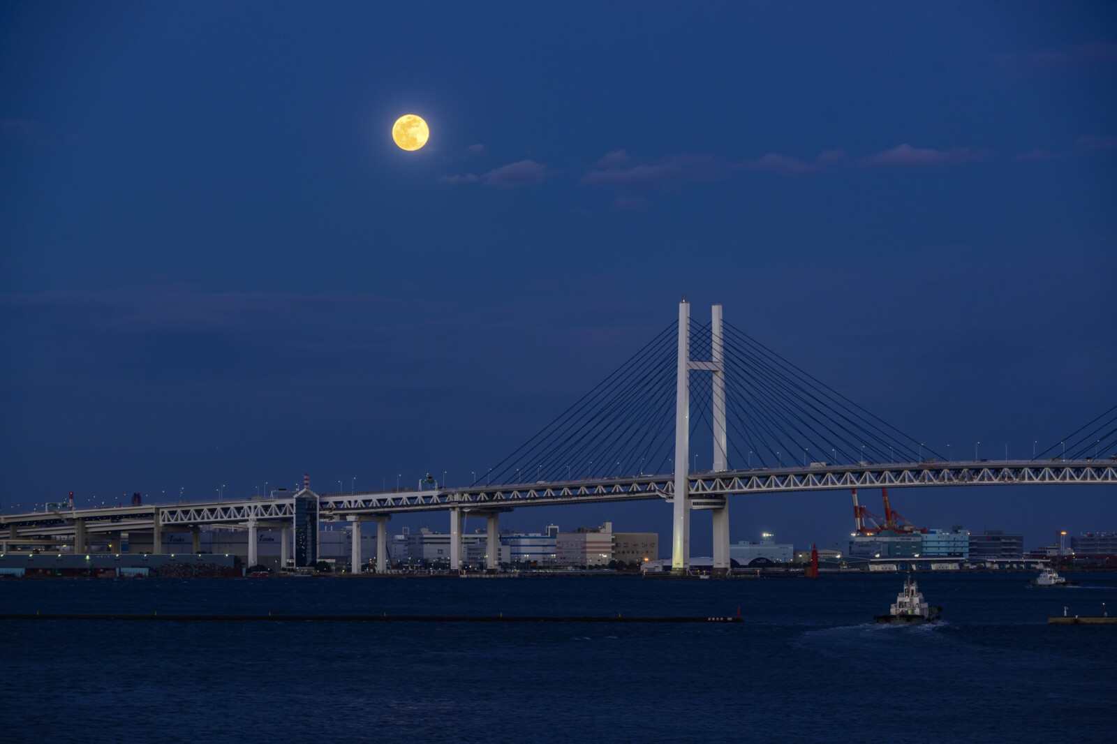 Osanbashi Pier moon viewing