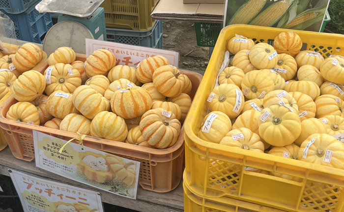 Pumpkin