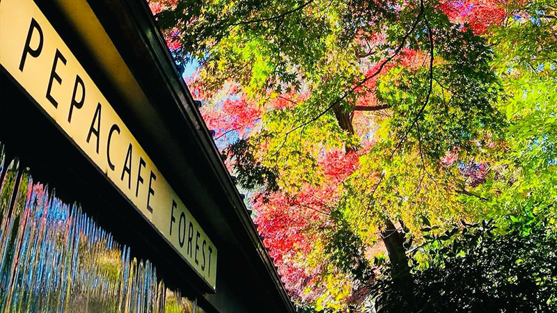pepacafe FOREST