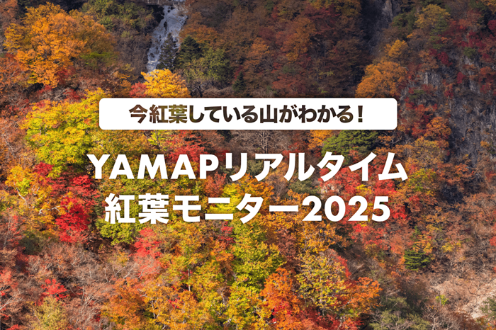 《YAMAP》