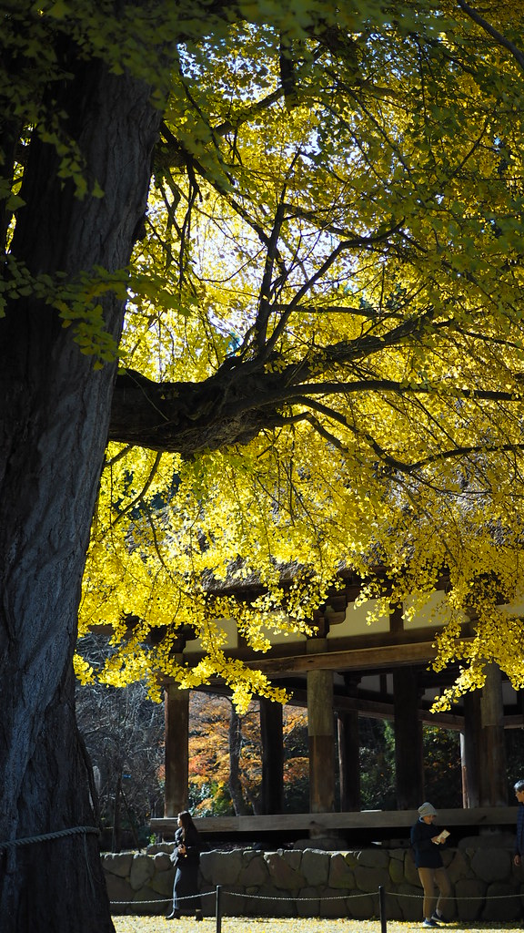 新宮熊野神社