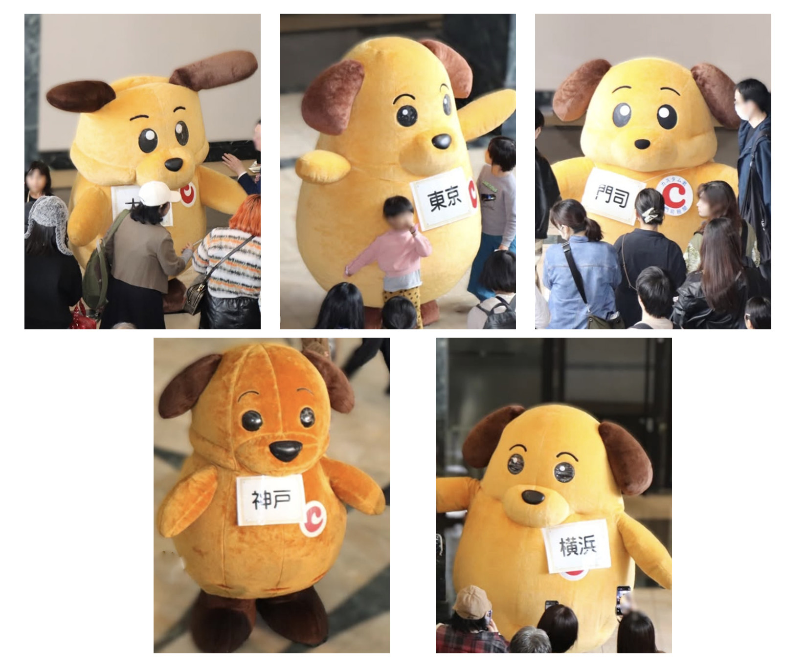 这只布丁配色的狗狗你看过吗?以缉毒犬为概念而诞生的日本海关吉祥物「Custom-kun(カスタム君)」 – Japaholic CN