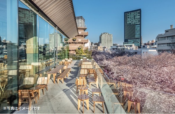 日本星巴克櫻花季_星巴克臻選東京烘焙工坊櫻花季_昼 ROASTERY TOKYO SAKURA Terrace_戶外座位區