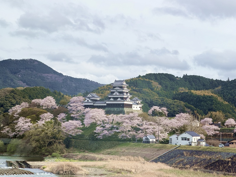 JR四國觀光列車伊予灘物語