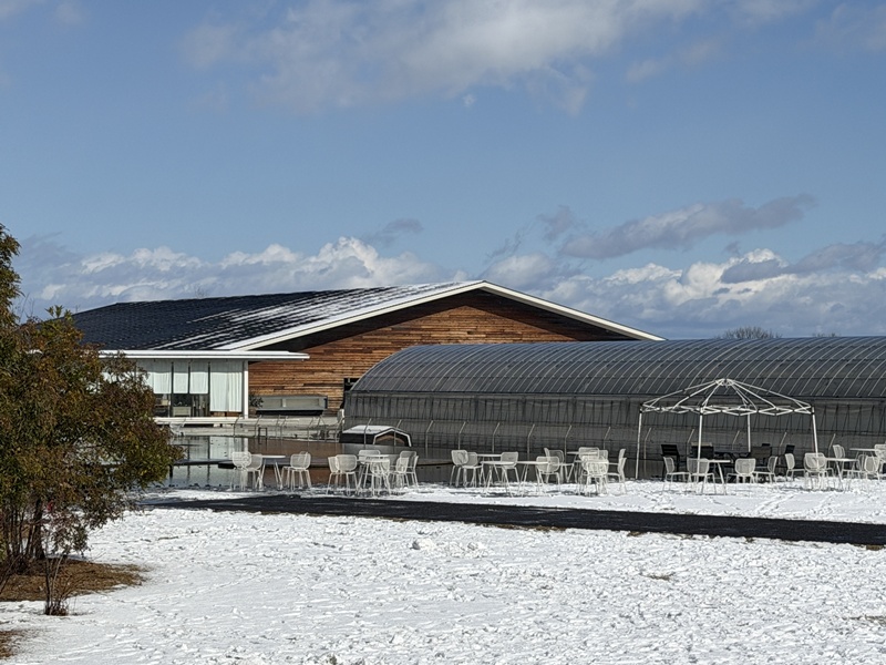 AQUAIGNIS