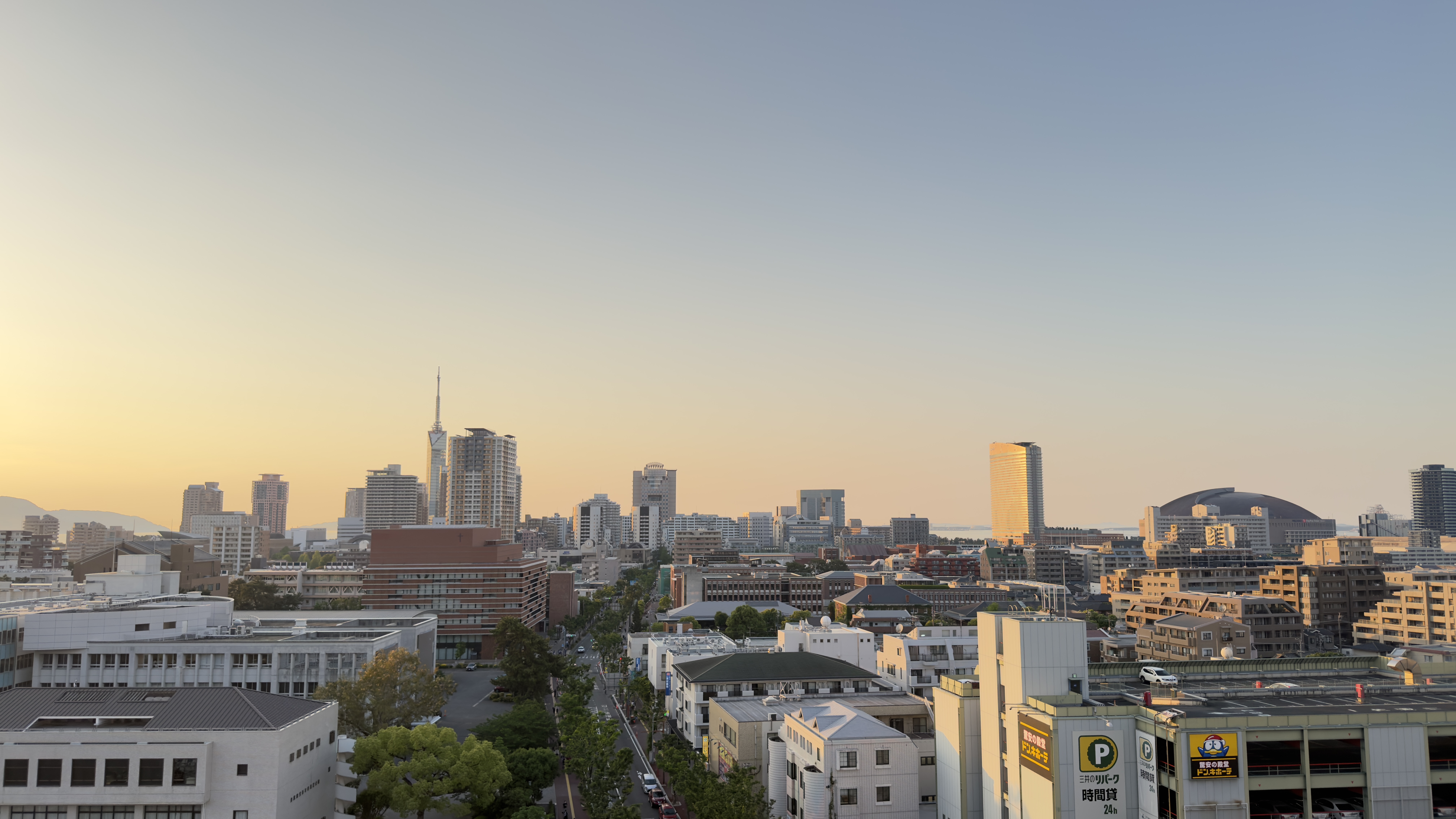 屋上庭園