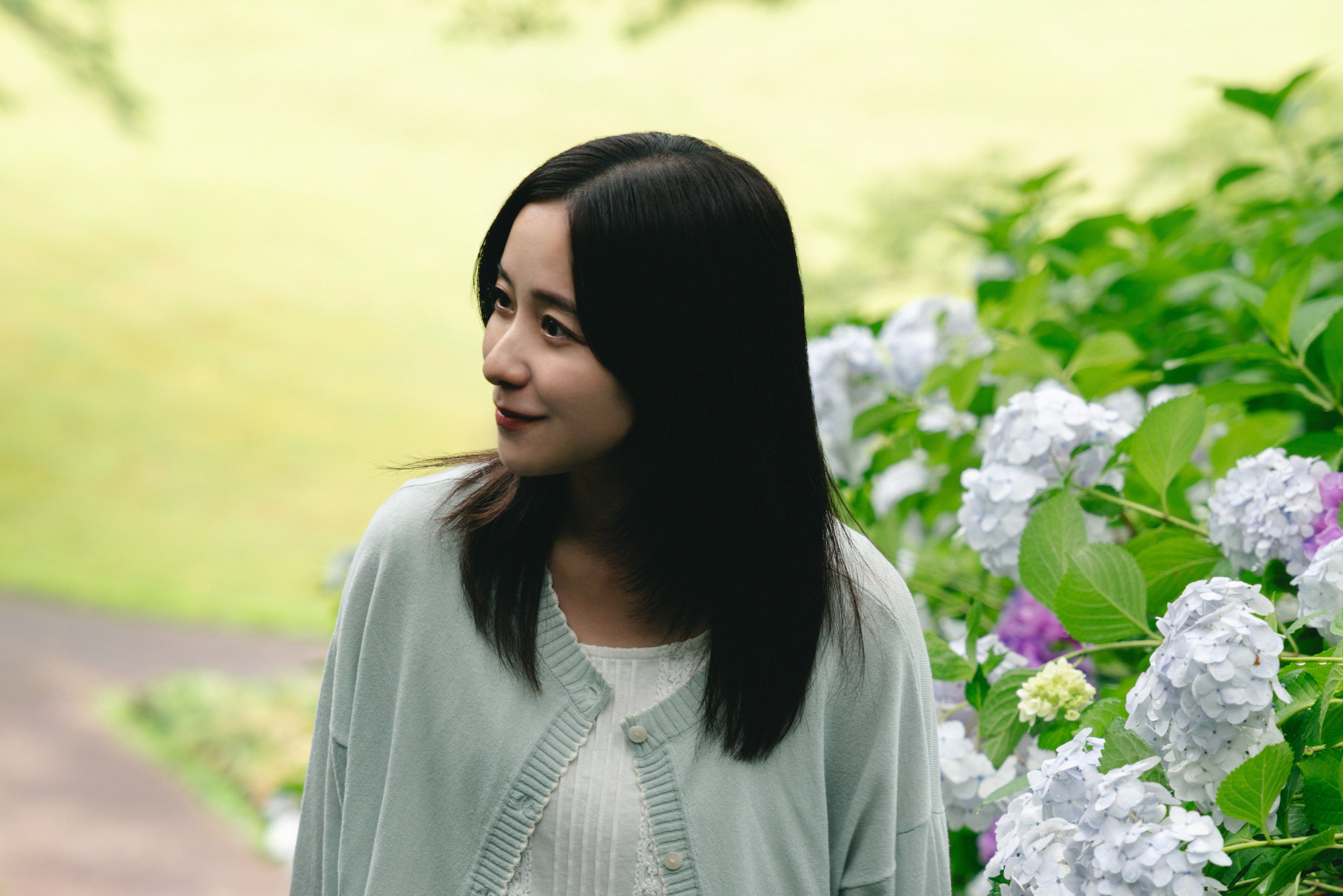 《繡球花之下》
