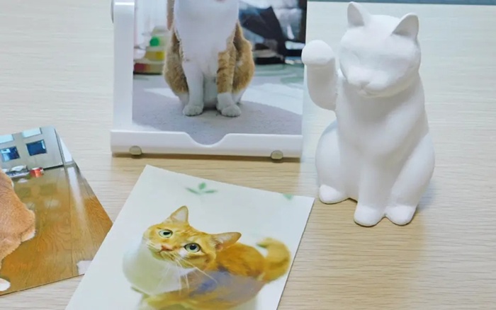 谷中堂MY招財貓